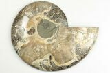 5.6" Cut & Polished Ammonite Fossil (Half) - Madagascar - #200080-1